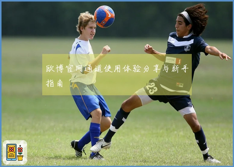 欧博官网通道使用体验分享与新手指南
